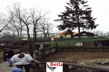 Siatki Bartoszyce - Siatka osłona zabezpieczająca - siatka na woliery do hodowli ptaków dla terenów Bartoszyc